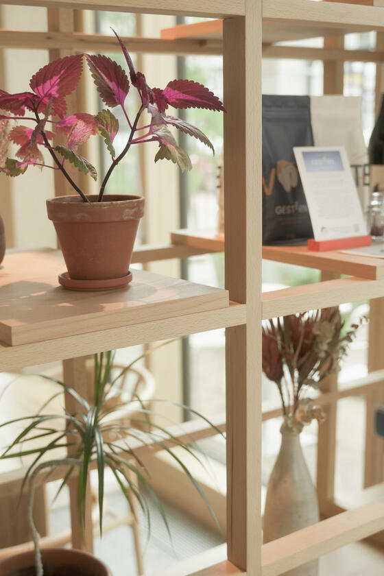 room divider A shelving unit and room divider made of beech wood designer and built by Liam Barwick